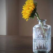 K Kranzer Schmittler's photo