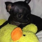 Patty Cable's photo