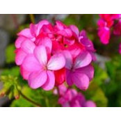 Ashley Glover's photo