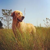 Beth Lewis's photo