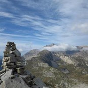Alex Pral's photo