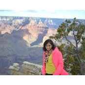 Vandita Krishna's photo