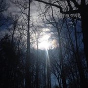 Sterling Cannon's photo