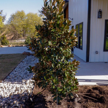 Flowering Trees & Shrubs