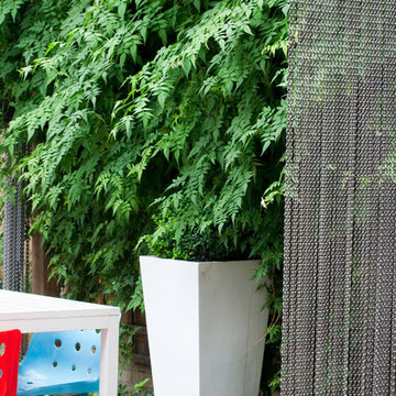 Courtyard Garden in South London
