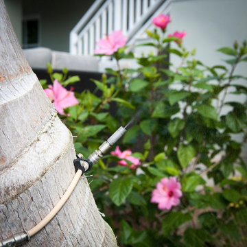No-see'um and Mosquito Misting in Fort Myers, FL