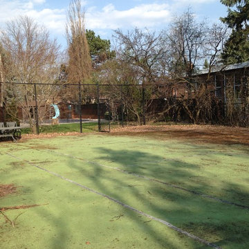 Before Photo 1