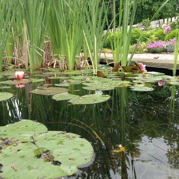 Garden of Ideas, Ridgefield, CT