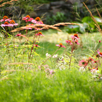 Gladwyne Garden II