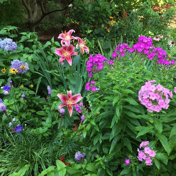 Colorful Mixed Perennial Garden