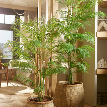 Artificial & Forever Green Plants