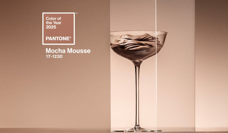 Pantone Is Down With Light Brown for Its 2025 Color of the Year