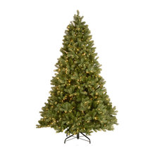 Wish List