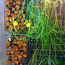 Vertical garden ideas