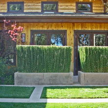 4 Horsetail Etc