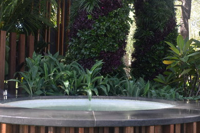 Inspiration for a tropical pool in Geelong.