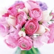 Sheralee Walker's photo