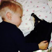 Kristen Shea's photo