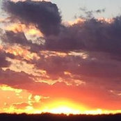 Sherri Mowery's photo