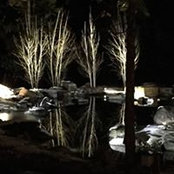 Fernando Treto's photo
