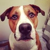 Saira Tedder's photo