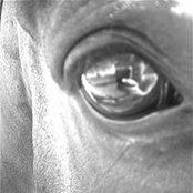 Anna Frensemeyer's photo