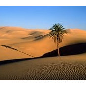 Fadi Ahmed's photo