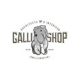 Photo de profil de GALLISHOP