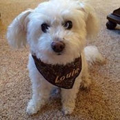 Donna Picard's photo