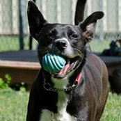 Erik Lindquist's photo