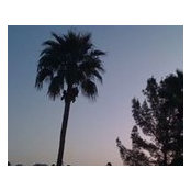 Rita Jorstad's photo