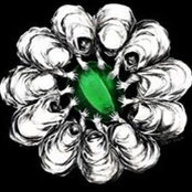 Edin Radeljas's photo