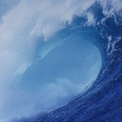 Ann Carlon's photo