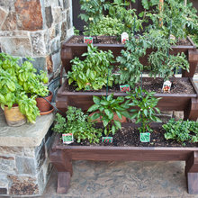 Salinas Garden