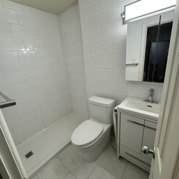 Economy Bathroom Renovation
