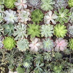 Boutique + Garden Center - Home Decor