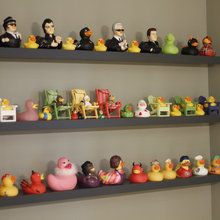 Collection displays