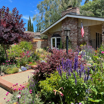 Los Altos seasonal update