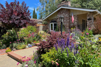 サンフランシスコにあるおしゃれな庭の写真
