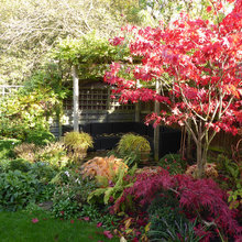 Landscape Ideas