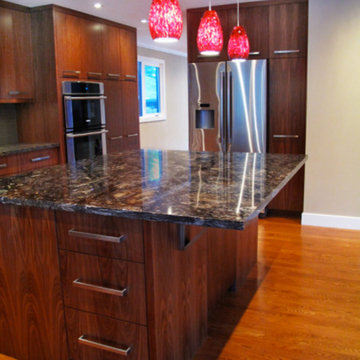 Kitchen Remodels