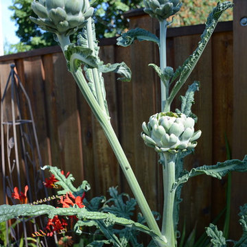 Raised Vegetable / Ornamental Garden 2015
