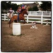Kelli Weaver's photo