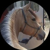 Dana Corkern's photo