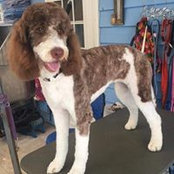 Barbara Preston McMillan's photo