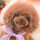 Houzz-bruger-ID-285552555