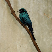 Photo de James Hoffert