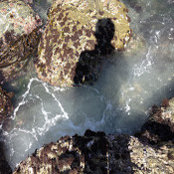 David H.'s photo