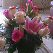 Joanie Hofstede's photo