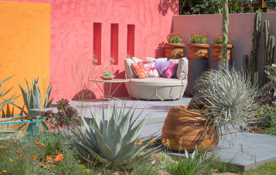 Garden Tour: A Dazzlingly Colourful Outdoor Living Room